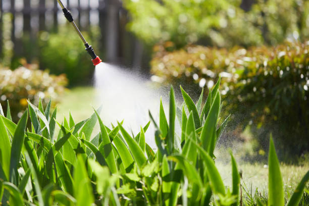 Tamper-Resistant Bait Stations for Rodents in Theodore
