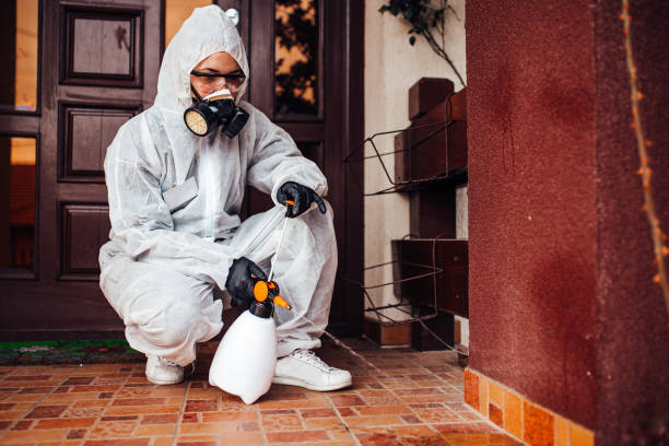 Attic and Crawl Space Rodent Treatment in Theodore